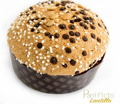 PANETTONE MANDORLATO AL CIOCCOLATO