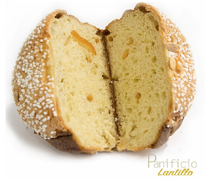 PANETTONE ALL’ARANCIA